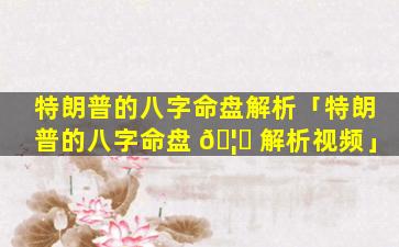 特朗普的八字命盘解析「特朗普的八字命盘 🦋 解析视频」